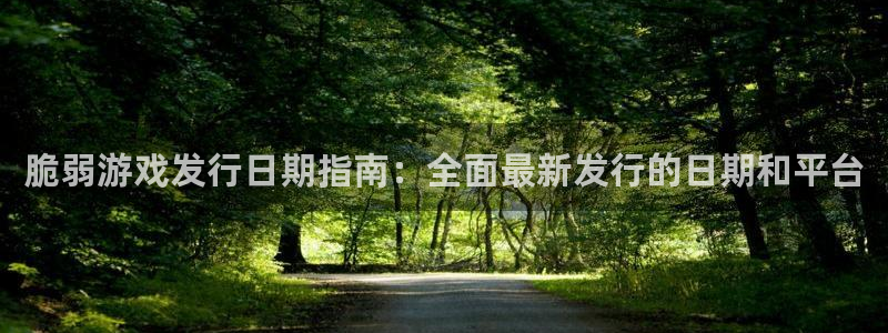 新航娱乐公司简介和历史背景分析