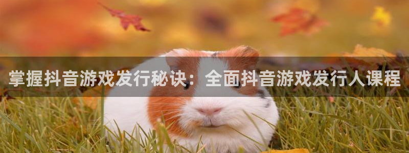 新航娱乐公司旗下艺人有哪些