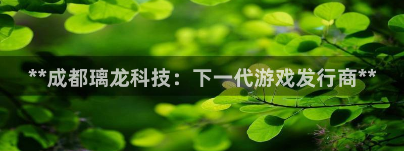 新航娱乐app最新版本更新内容在哪：**成都璃龙科技：下一代游戏发行商**