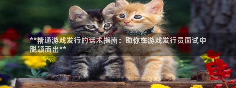新航娱乐app最新版本更新内容介绍：**精通游戏发行的话术指南：助你在游戏发行员面试中
脱颖而出**