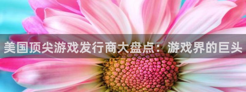 新航娱乐的背景和历史背景介绍：美国顶尖游戏发行商大盘点：游戏界的巨头