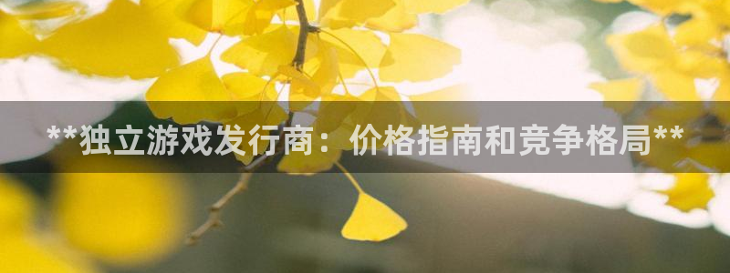 新航娱乐公司扣费流程详解：**独立游戏发行商：价格指南和竞争格局**