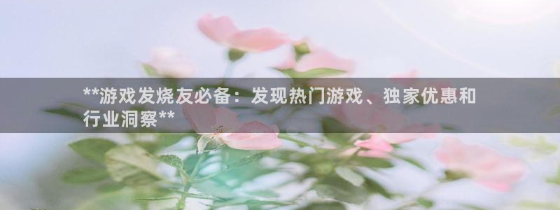 新航娱乐公司扣费流程详解表格