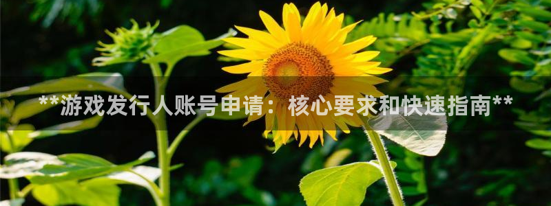 新航娱乐的会员权益与保障在哪：**游戏发行人账号申请：核心要求和快速指南**