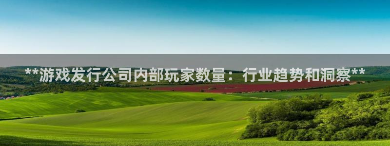 新航娱乐到.3.3.4.8.2新航娱乐.可以吗.长久.中国：**游戏发行公司内部玩家数量：行业趋势和洞察**