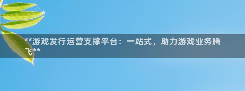新航娱乐入网要求：**游戏发行运营支撑平台：一站式，助力游戏业务腾
飞**