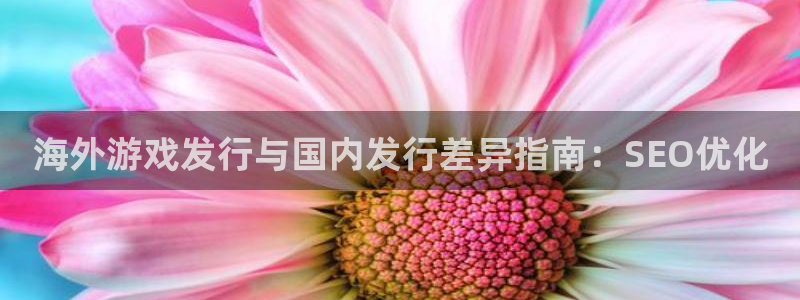 新航娱乐倒闭了吗知乎文章：海外游戏发行与国内发行差异指南：SEO优化