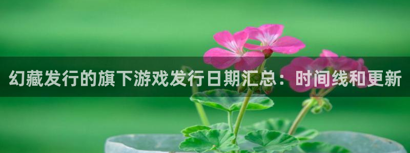 新航娱乐集团最新消息今天：幻藏发行的旗下游戏发行日期汇总：时间线和更新