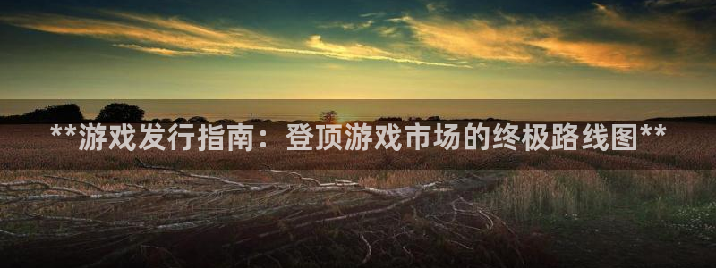 新航娱乐最新消息：**游戏发行指南：登顶游戏市场的终极路线图**