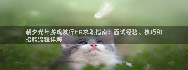 新航娱乐公司旗下艺人有哪些：朝夕光年游戏发行HR求职指南：面试经验、技巧和
招聘流程详解
