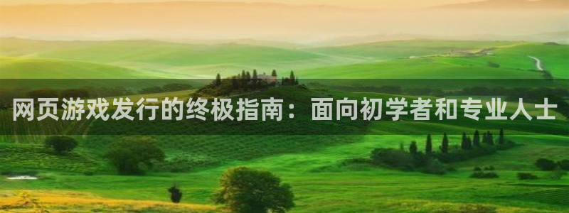 新航娱乐集团最新消息今天：网页游戏发行的终极指南：面向初学者和专业人士
