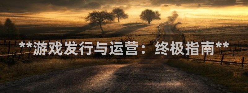 新航娱乐倒闭了吗知乎：**游戏发行与运营：终极指南**