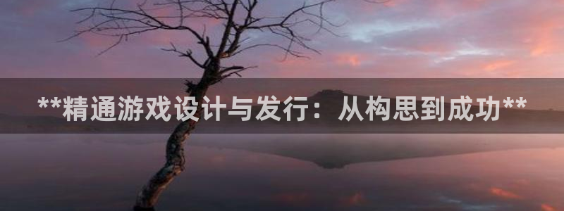 新航娱乐扣费是什么费用啊：**精通游戏设计与发行：从构思到成功**