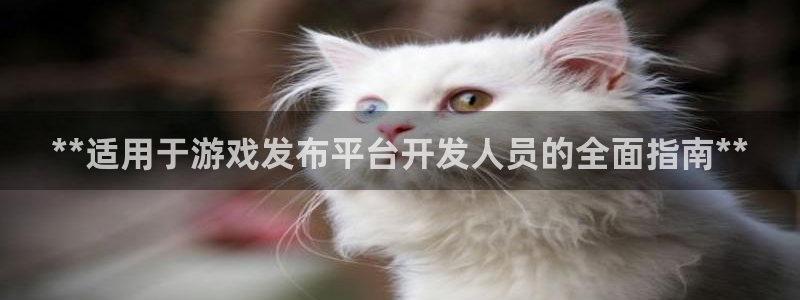 新航娱乐APP的最新版本更新内容