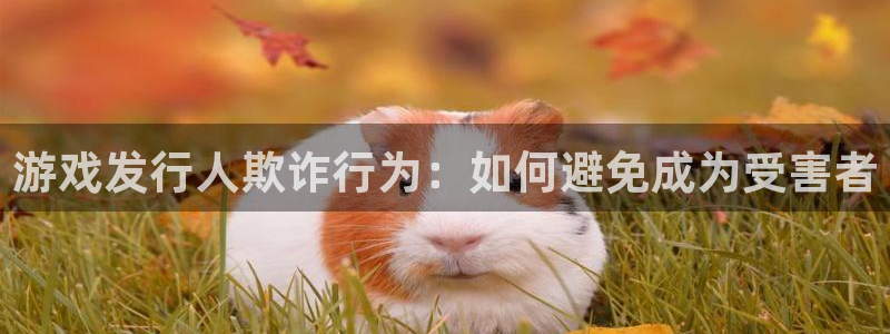 新航娱乐公司扣费流程详解视频