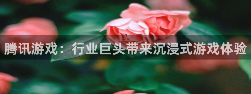 新航娱乐入网要求：腾讯游戏：行业巨头带来沉浸式游戏体验