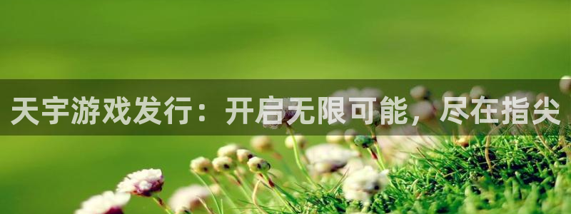 新航娱乐扣款后还能重新扣：天宇游戏发行：开启无限可能，尽在指尖