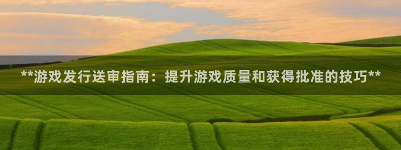 新航娱乐官网最新版本更新内容下载：**游戏发行送审指南：提升游戏质量和获得批准的技巧**