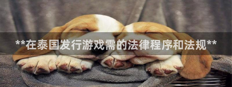 新航娱乐公司扣费流程详解视频：**在泰国发行游戏需的法律程序和法规**