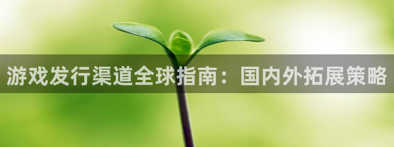 新航娱乐到.3.3.4.8.2新航娱乐.可以吗.长久.中国：游戏发行渠道全球指南：国内外拓展策略