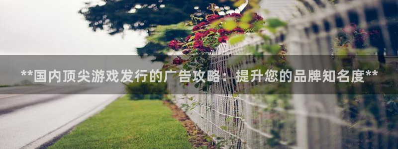 新航娱乐的会员权益与保障在哪：**国内顶尖游戏发行的广告攻略：提升您的品牌知名度**