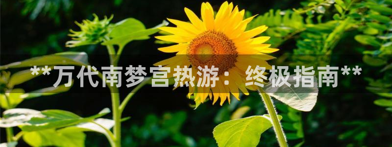 新航娱乐app最新版本更新内容在哪：**万代南梦宫热游：终极指南**