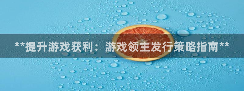 新航娱乐元哥：**提升游戏获利：游戏领主发行策略指南**