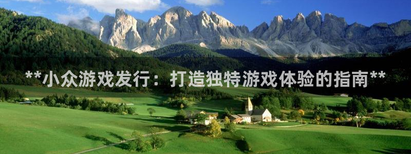 新航娱乐app官方免费下载：**小众游戏发行：打造独特游戏体验的指南**