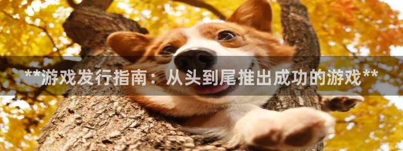 新航娱乐扣款后还能重新扣
