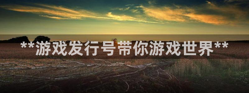 新航娱乐挂机.直开.中国(官方下载)：**游戏发行号带你游戏世界**