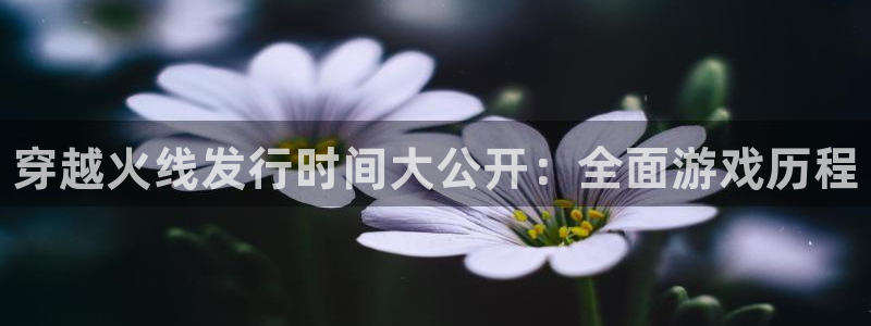 新航娱乐招商率合作 485624 怎么样：穿越火线发行时间大公开：全面游戏历程