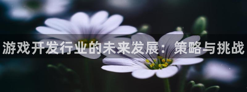 新航娱乐扣款：游戏开发行业的未来发展：策略与挑战