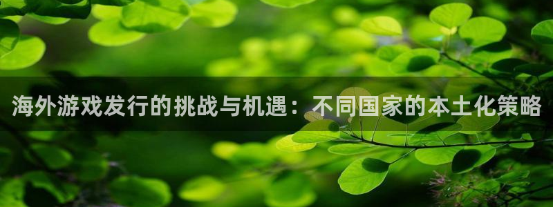 新航娱乐app最新版本更新内容是什么样的：海外游戏发行的挑战与机遇：不同国家的本土化策略