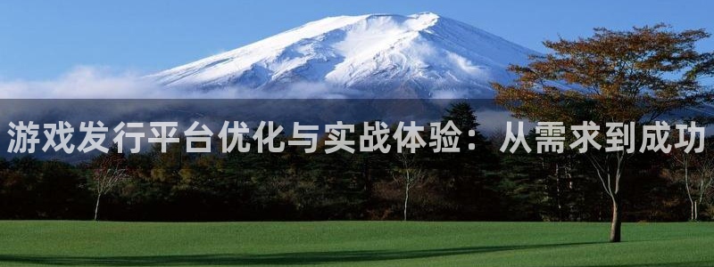 新航娱乐扣款后还能重新扣费吗知乎：游戏发行平台优化与实战体验：从需求到成功