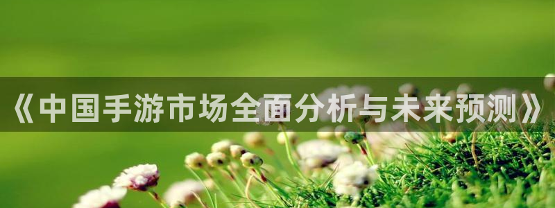 新航娱乐集团最新消息今天：《中国手游市场全面分析与未来预测》