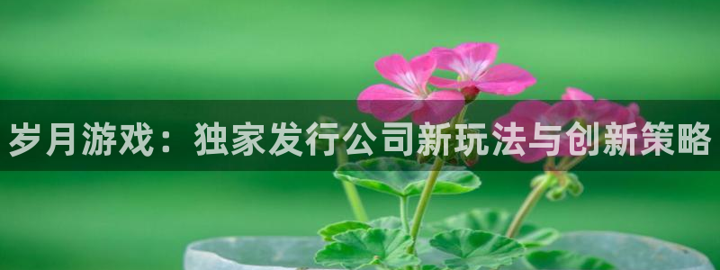 新航娱乐扣款是怎么回事：岁月游戏：独家发行公司新玩法与创新策略