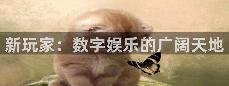 新航娱乐app手机版特色功能介绍：新玩家：数字娱乐的广阔天地