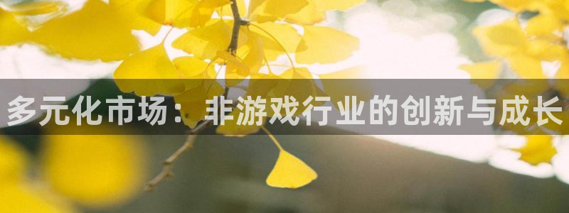 新航娱乐的创始人是谁呀：多元化市场：非游戏行业的创新与成长