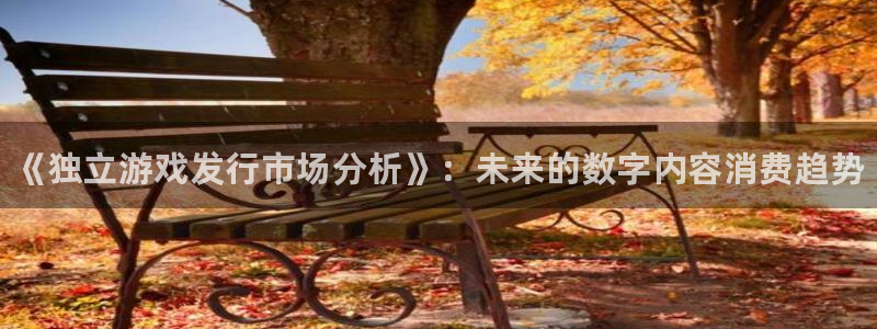 新航娱乐公司扣费流程详解