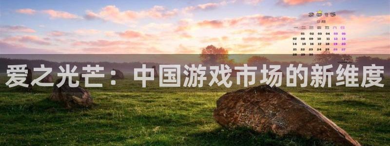 新航娱乐公司扣费流程详解表格：爱之光芒：中国游戏市场的新维度